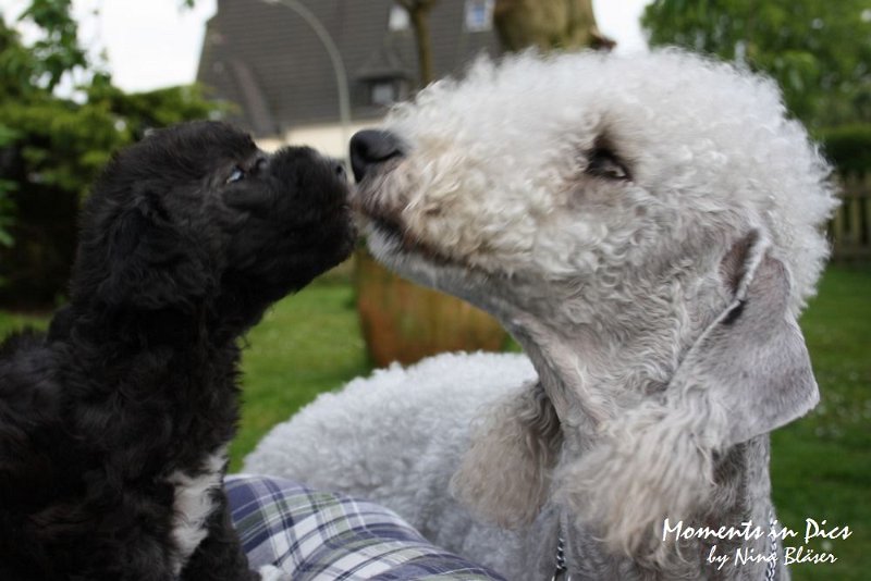 Arc-en-ciel Antares 2009-06-17 (42).JPG